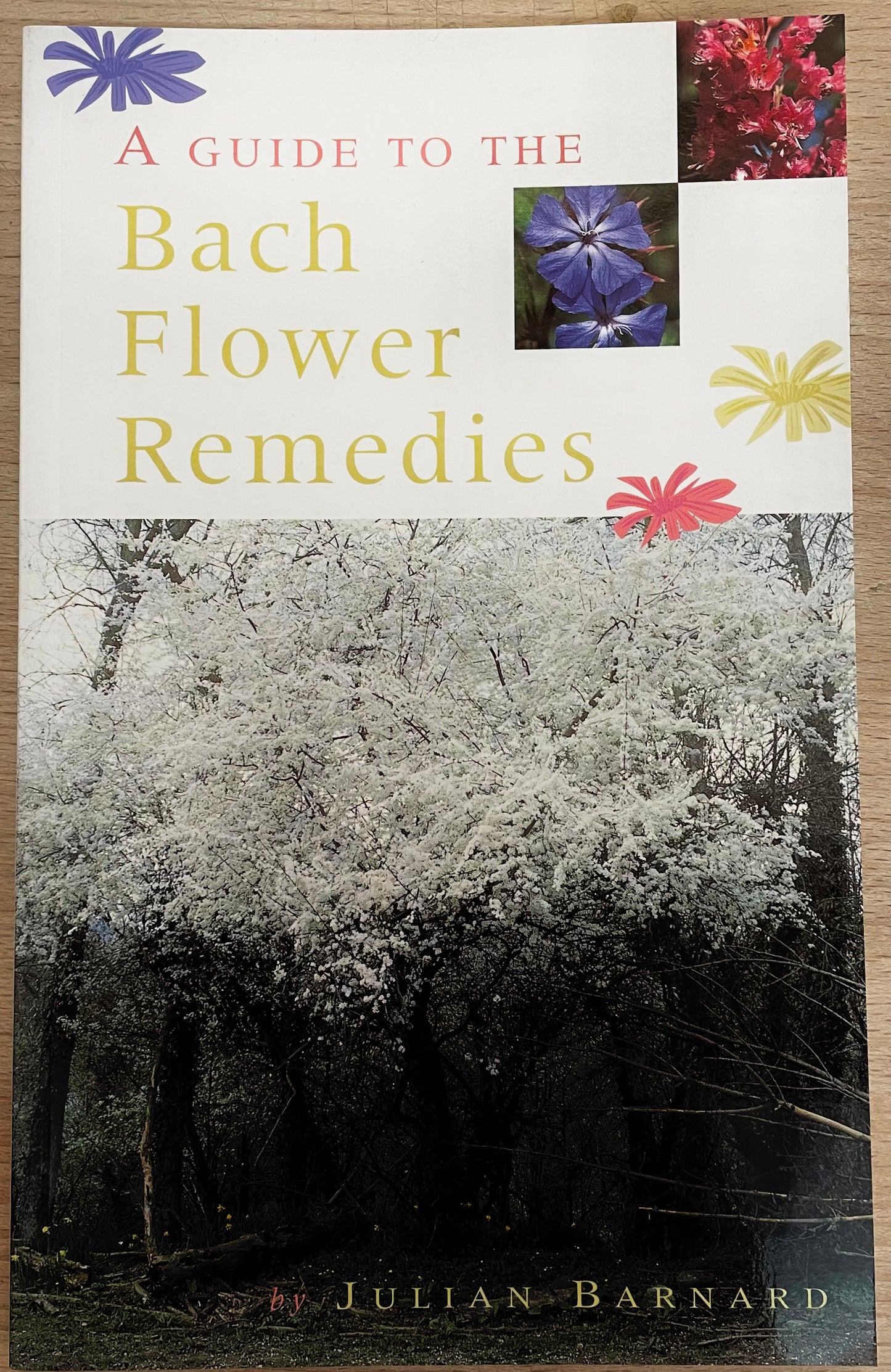 A Guide to the Bach Flower Remedies