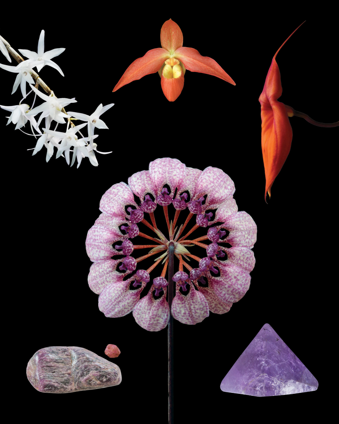 Being Within Combination Essence