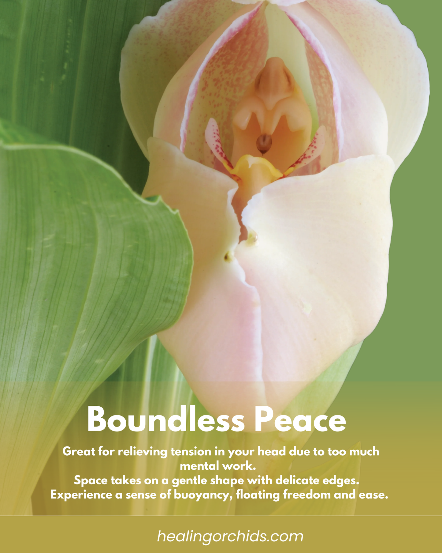 Boundless Peace Essence