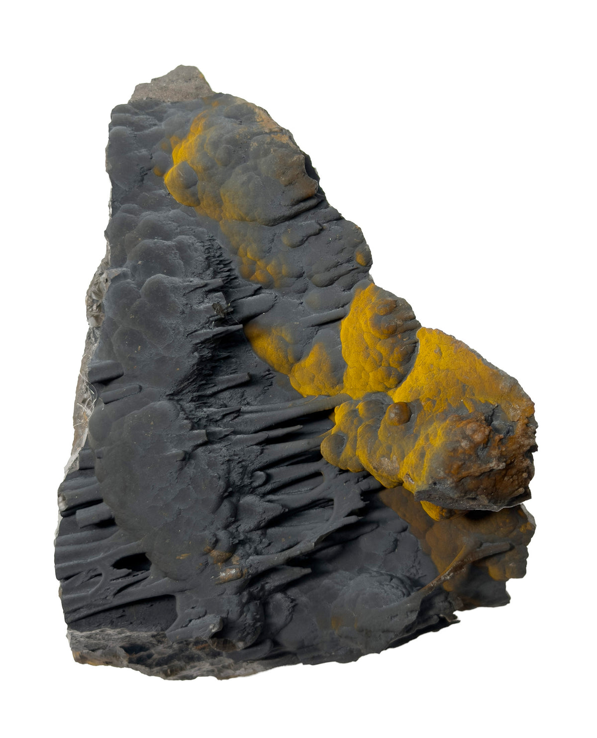 Velvet Goethite Essence (Mother Tincture)