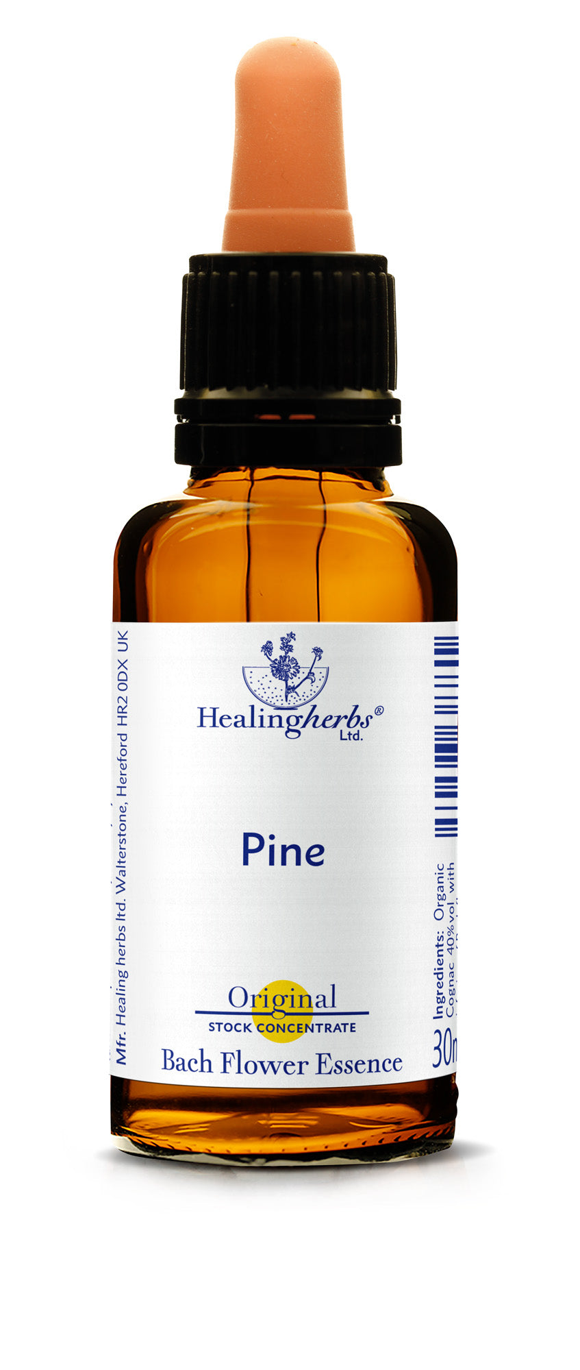 Healing Herbs - Pine