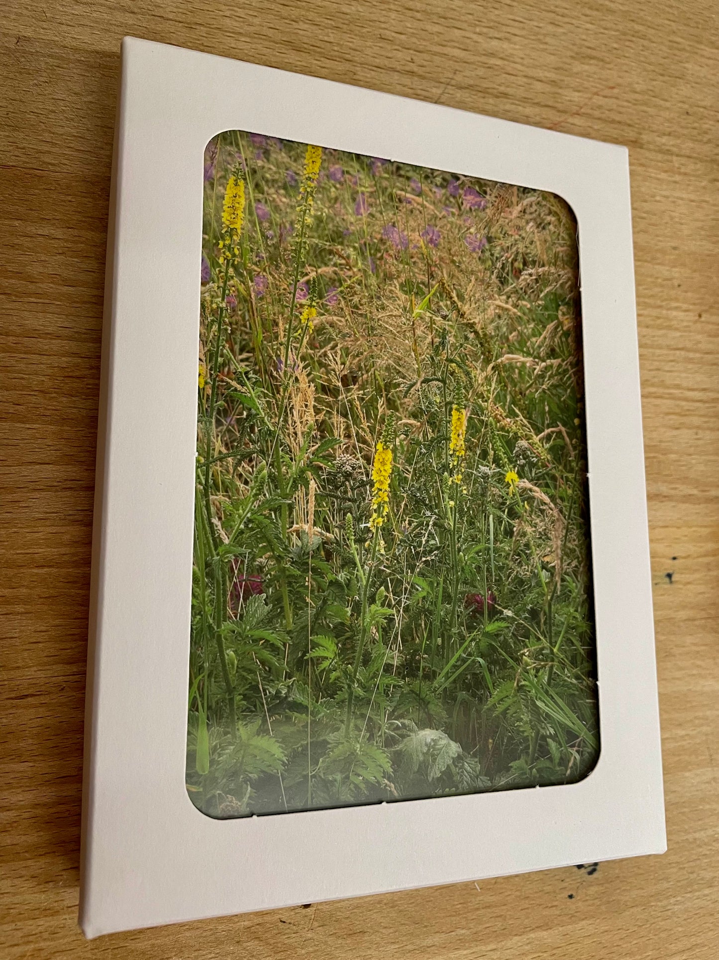 Healing Herbs - Photo cards set