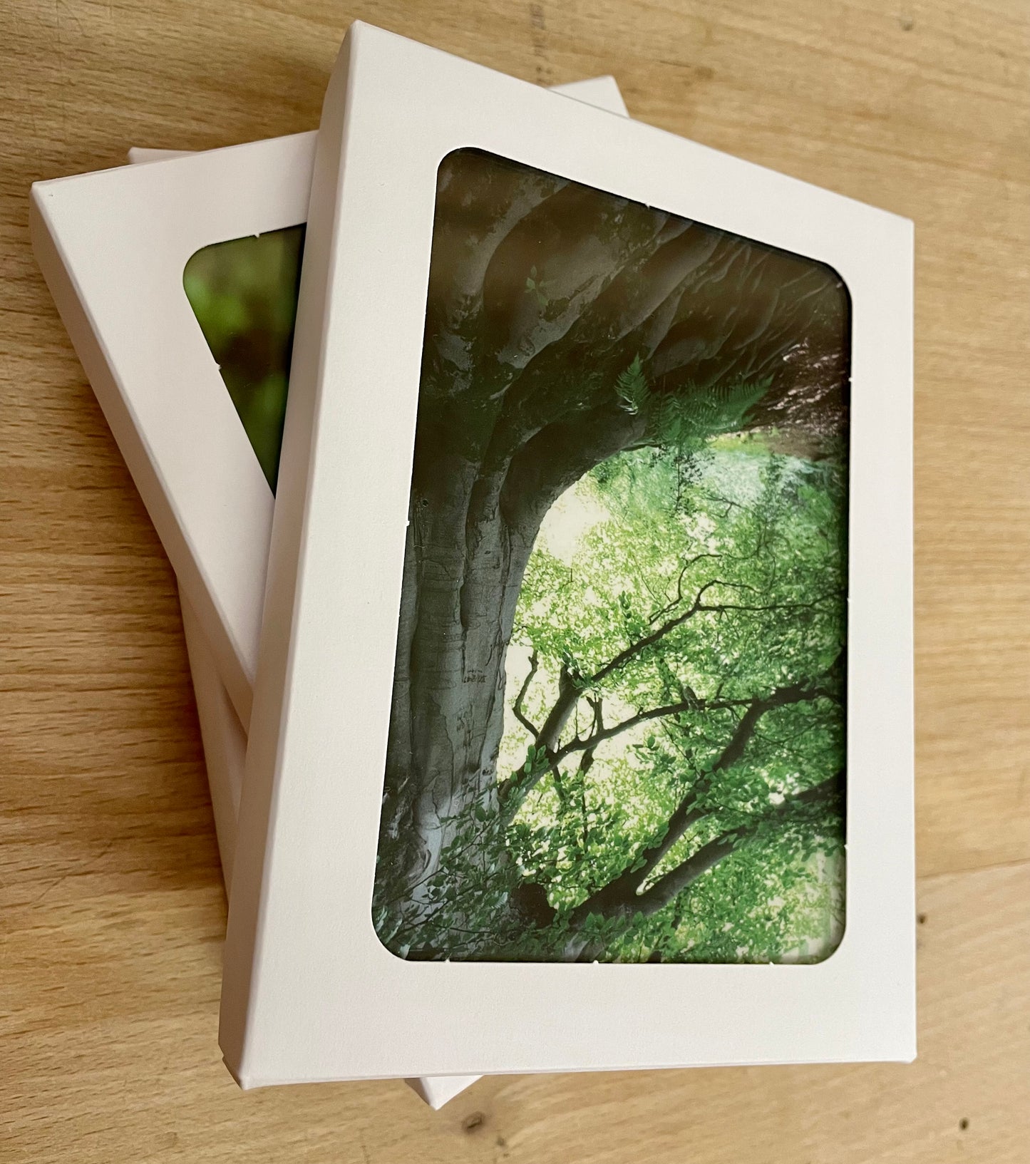 Healing Herbs - Photo cards set