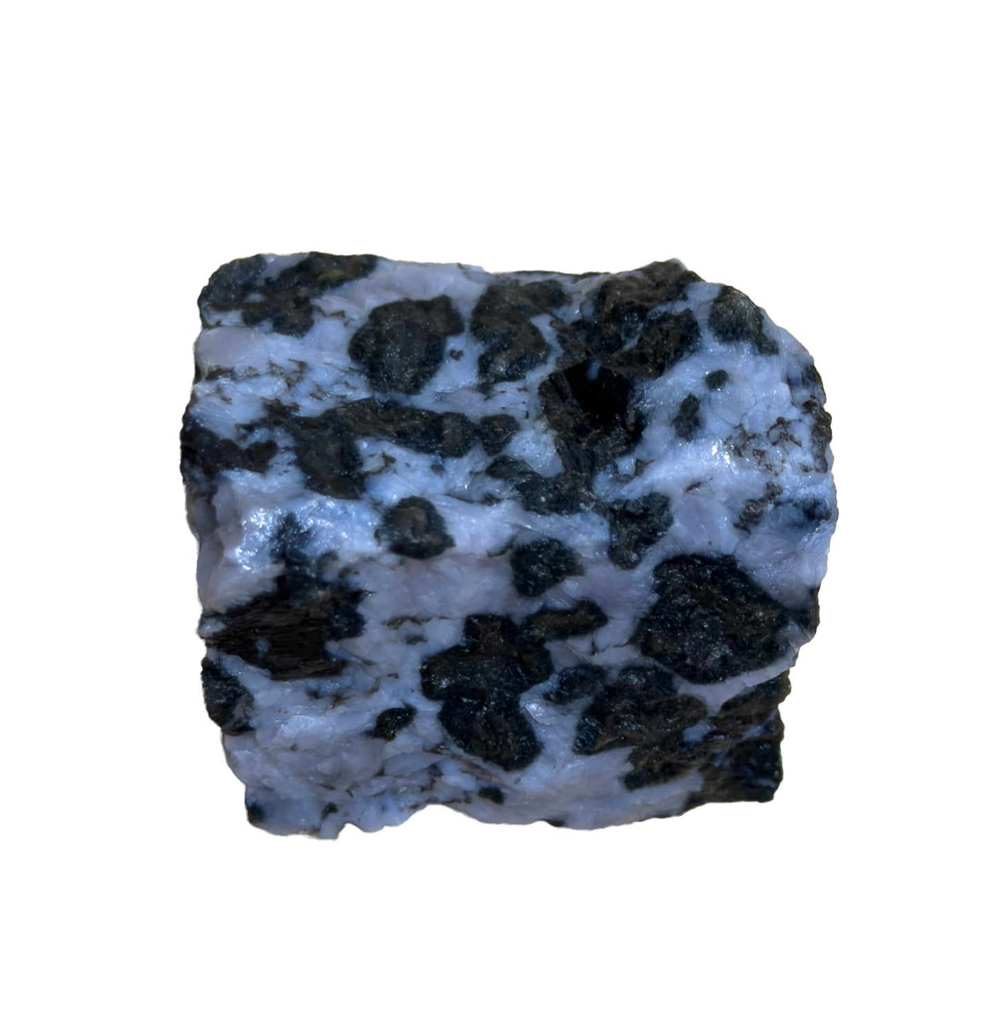 Indigo Gabbro Essence (Mother Tincture)