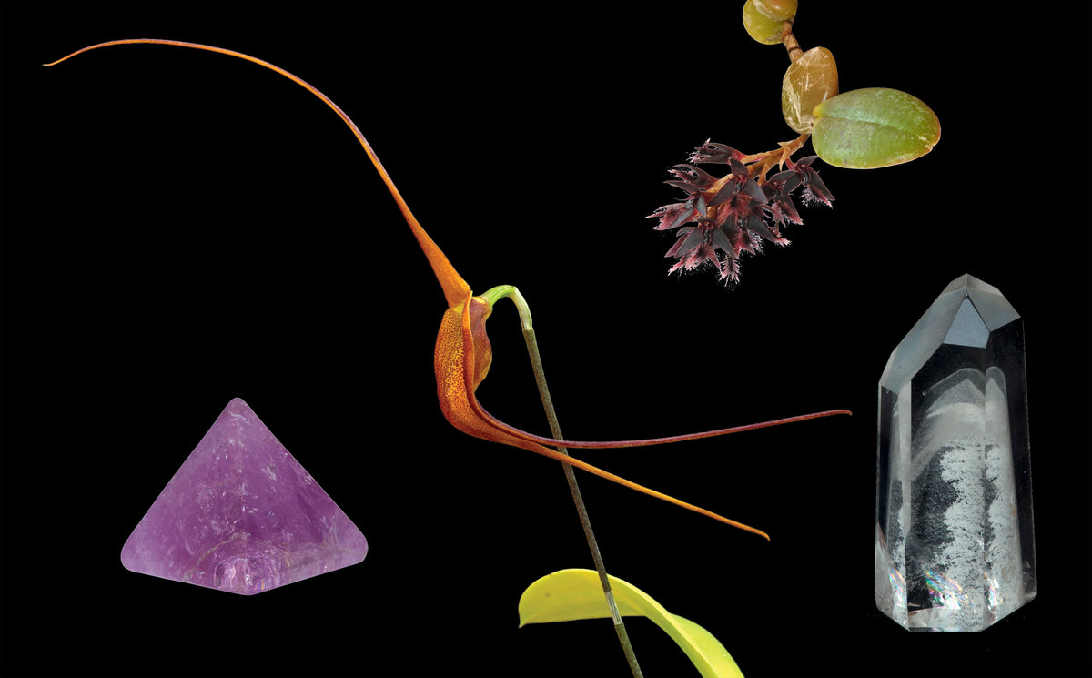 Knowing Combination Essence