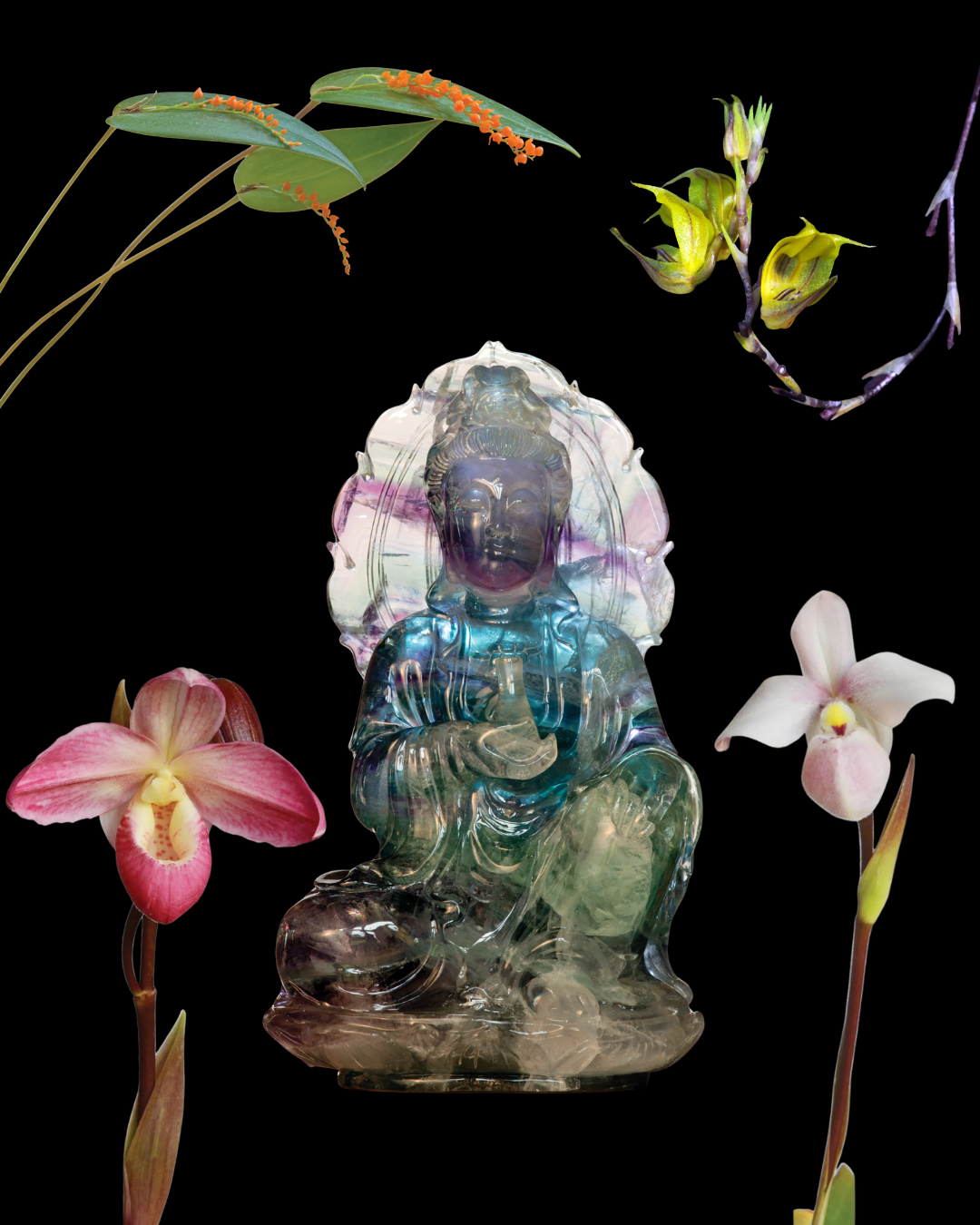 Light of the Soul Combination Essence