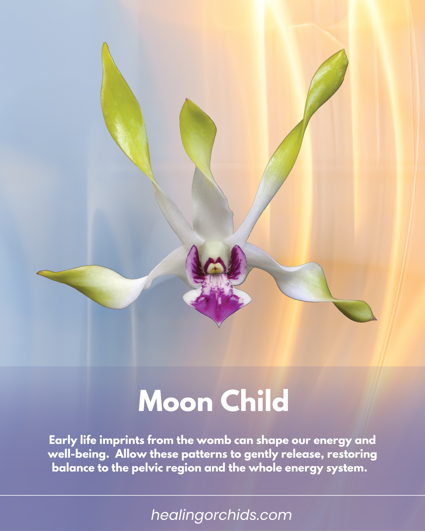 Moon Child Essence