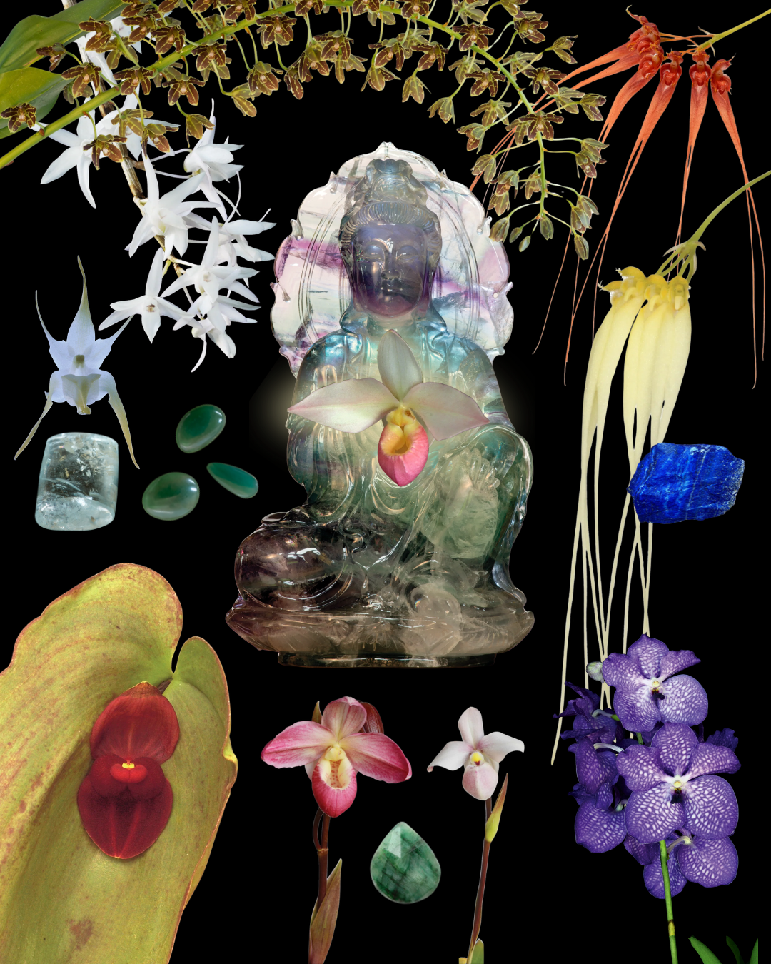 Peaceful Silence Combination Essence