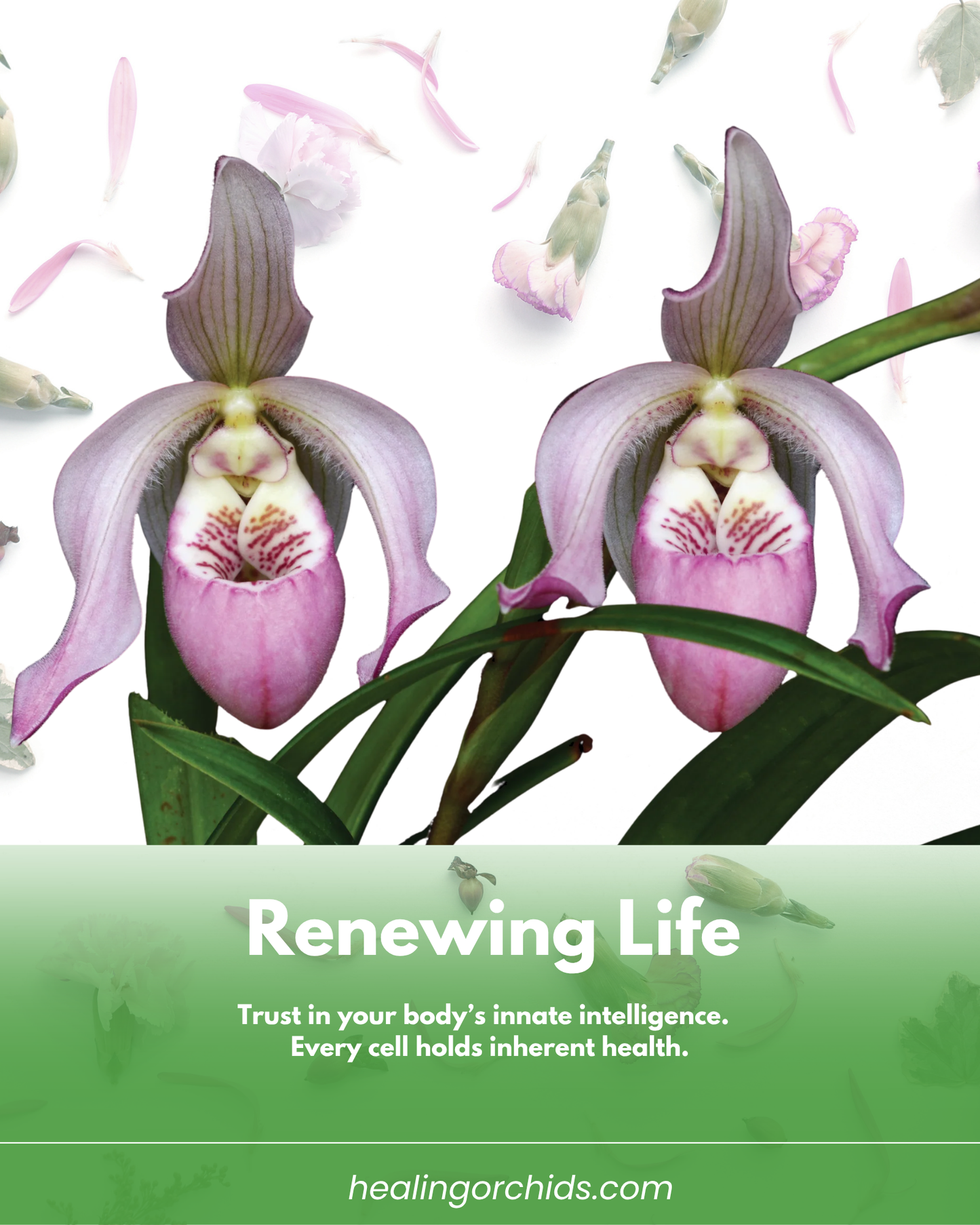 Renewing Life Essence