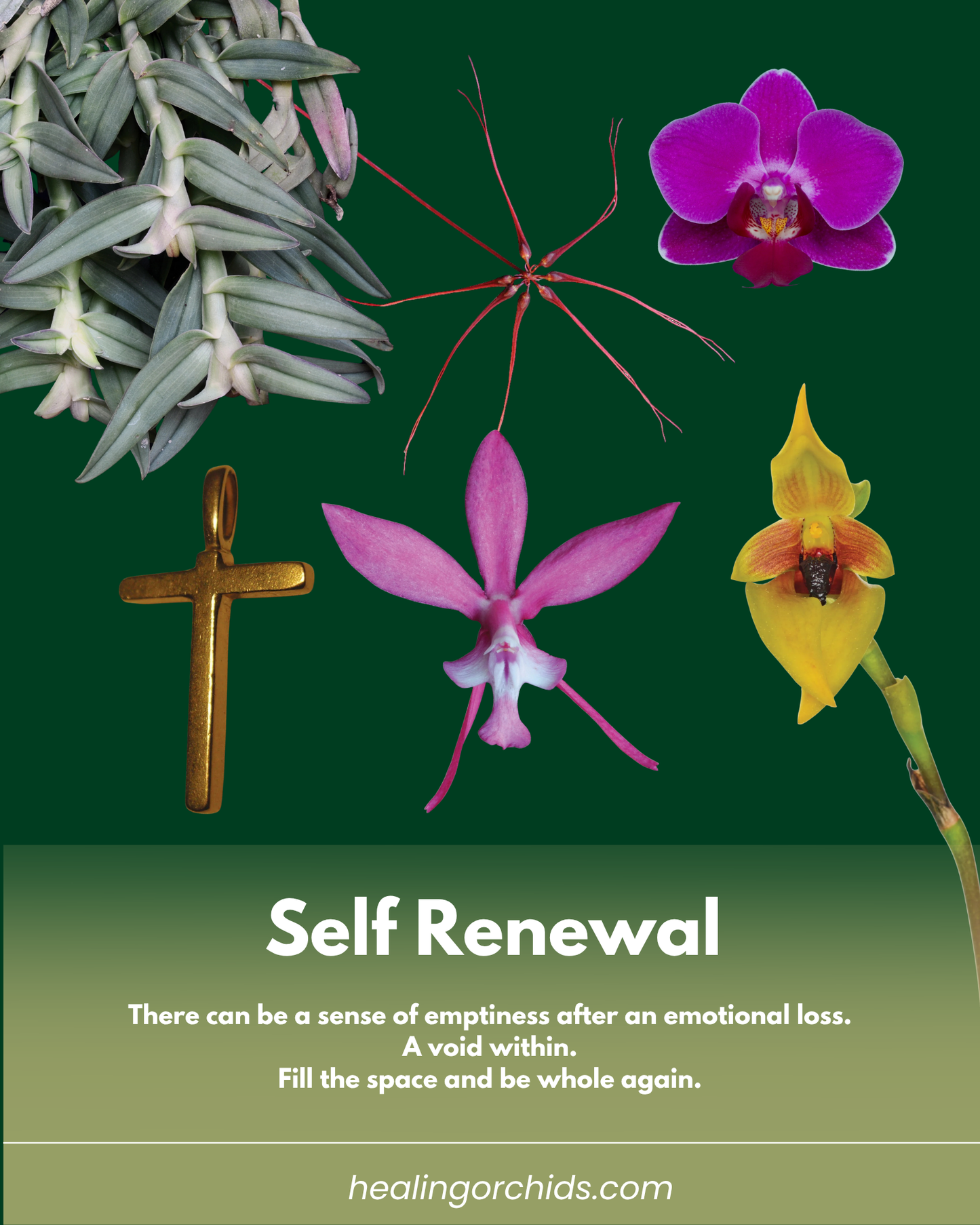 Self Renewal Combination Essence
