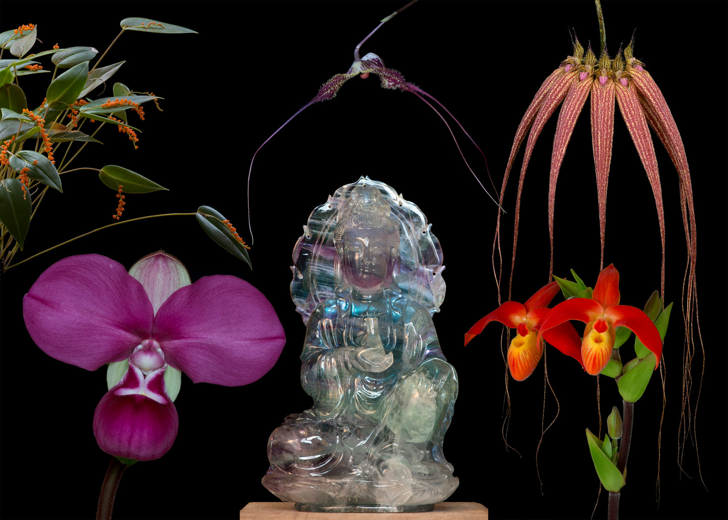 Spirit Path 3 Combination Essence