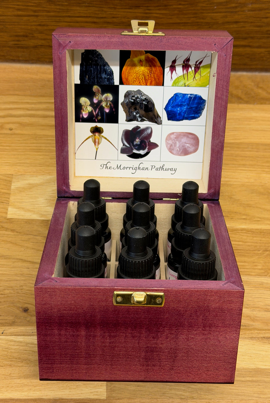 The Morrighan Pathway Kit