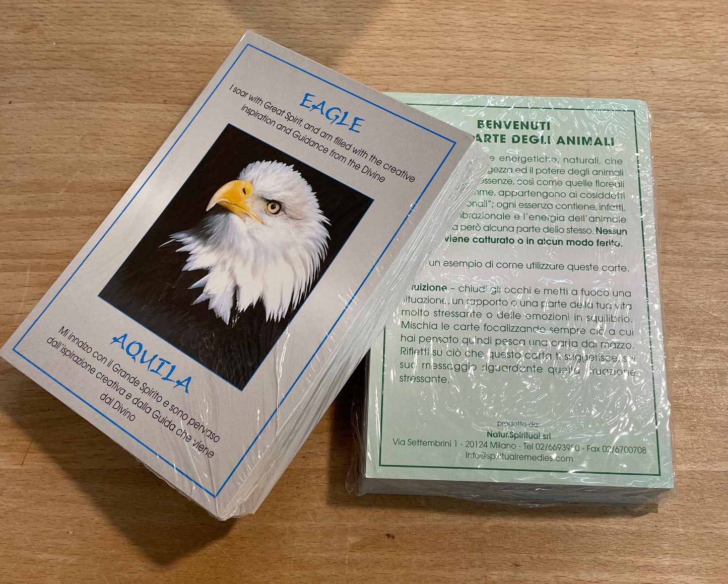 Wild Earth Animal Cards set of 45