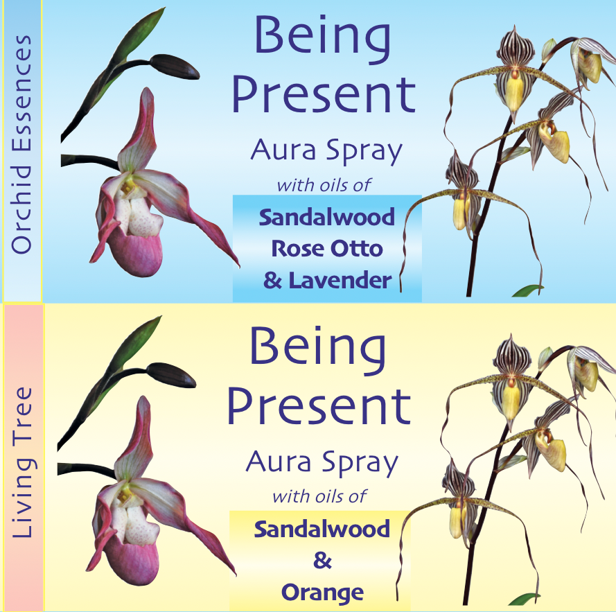 Being Present Aura Spray
