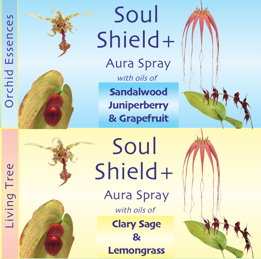 Soul Shield Aura Spray