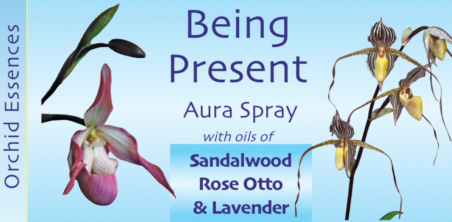 Being Present Aura Spray