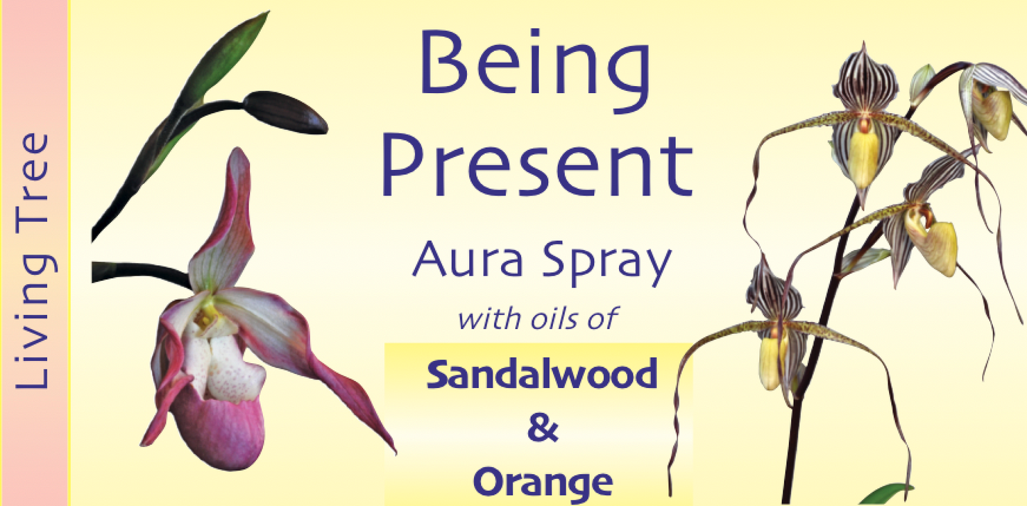 Being Present Aura Spray
