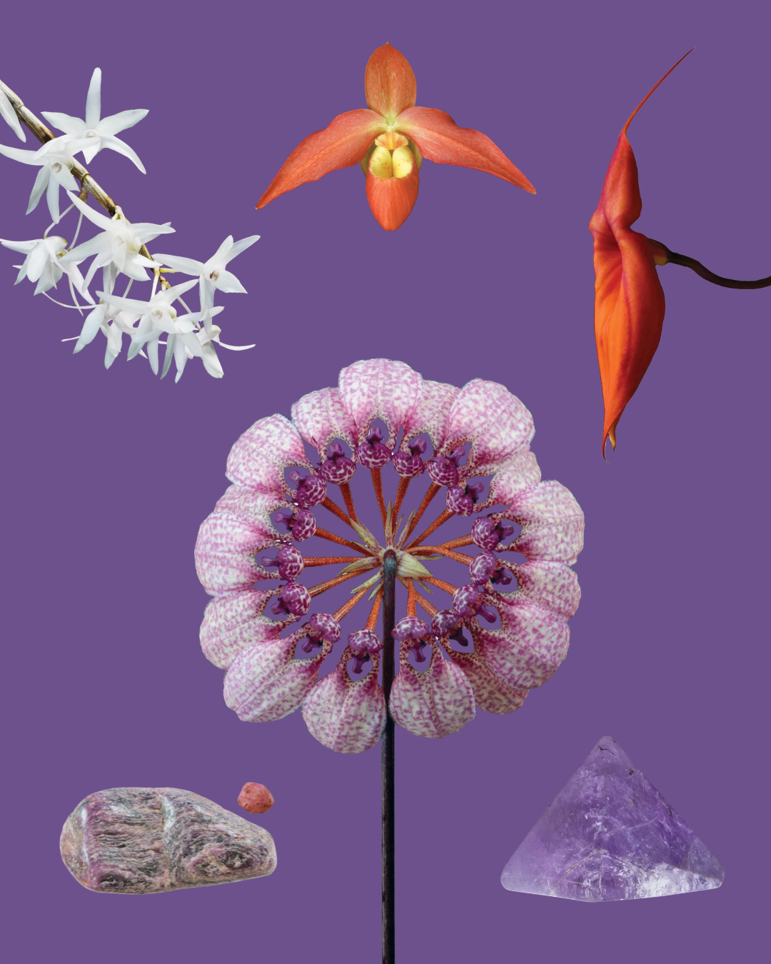 Being Within Combination Essence