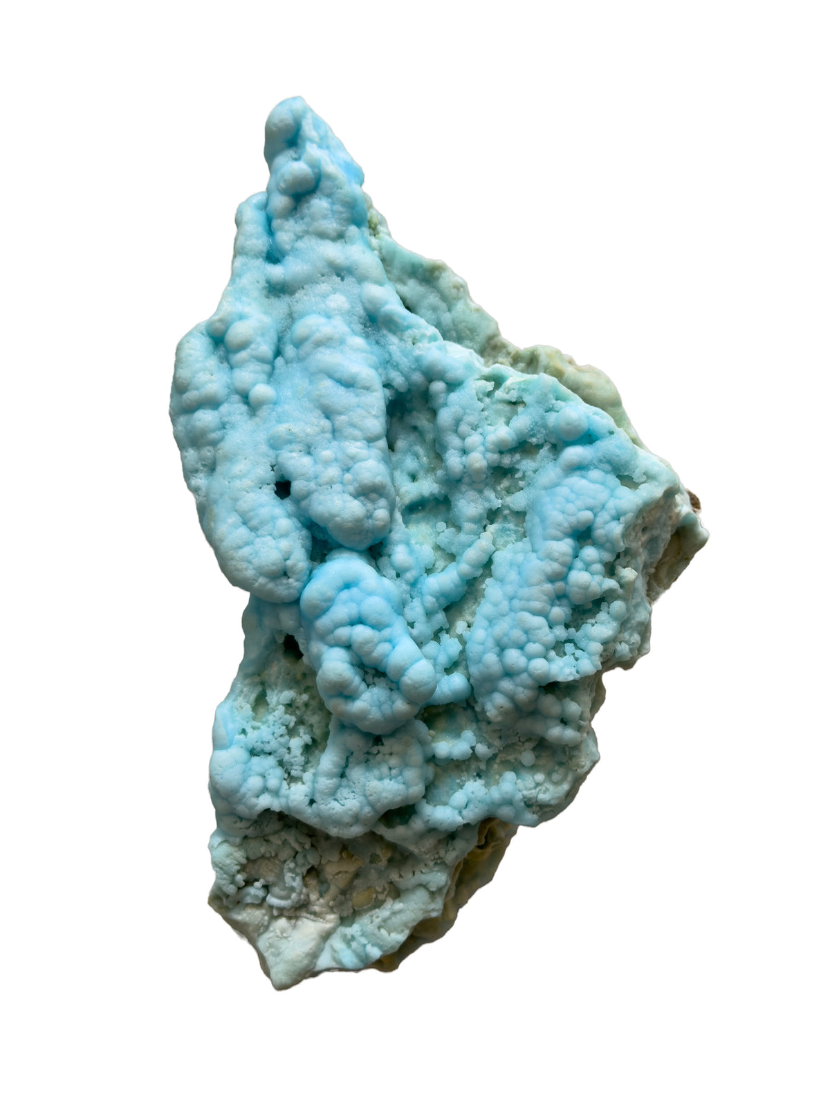 Bubbly Blue Aragonite Essence (Mother Tincture)