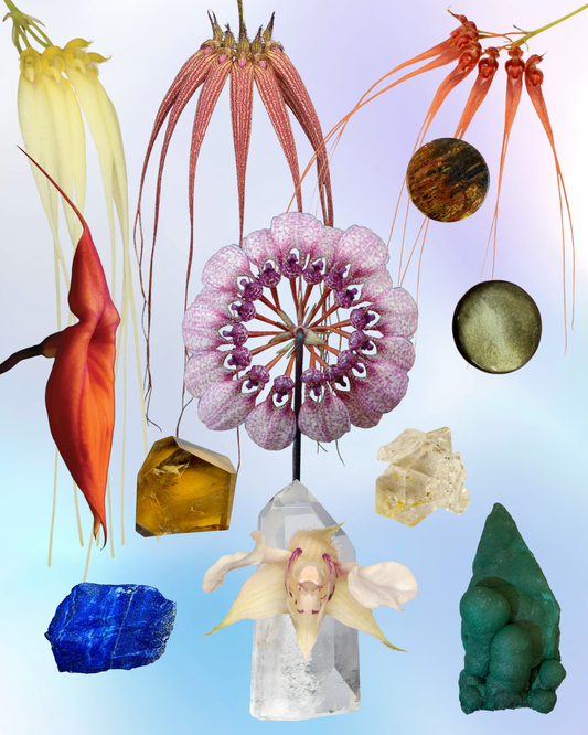 Canopy of Peace & Luck Combination Essence