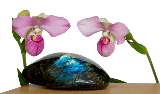 Clarity of Spirit Essence