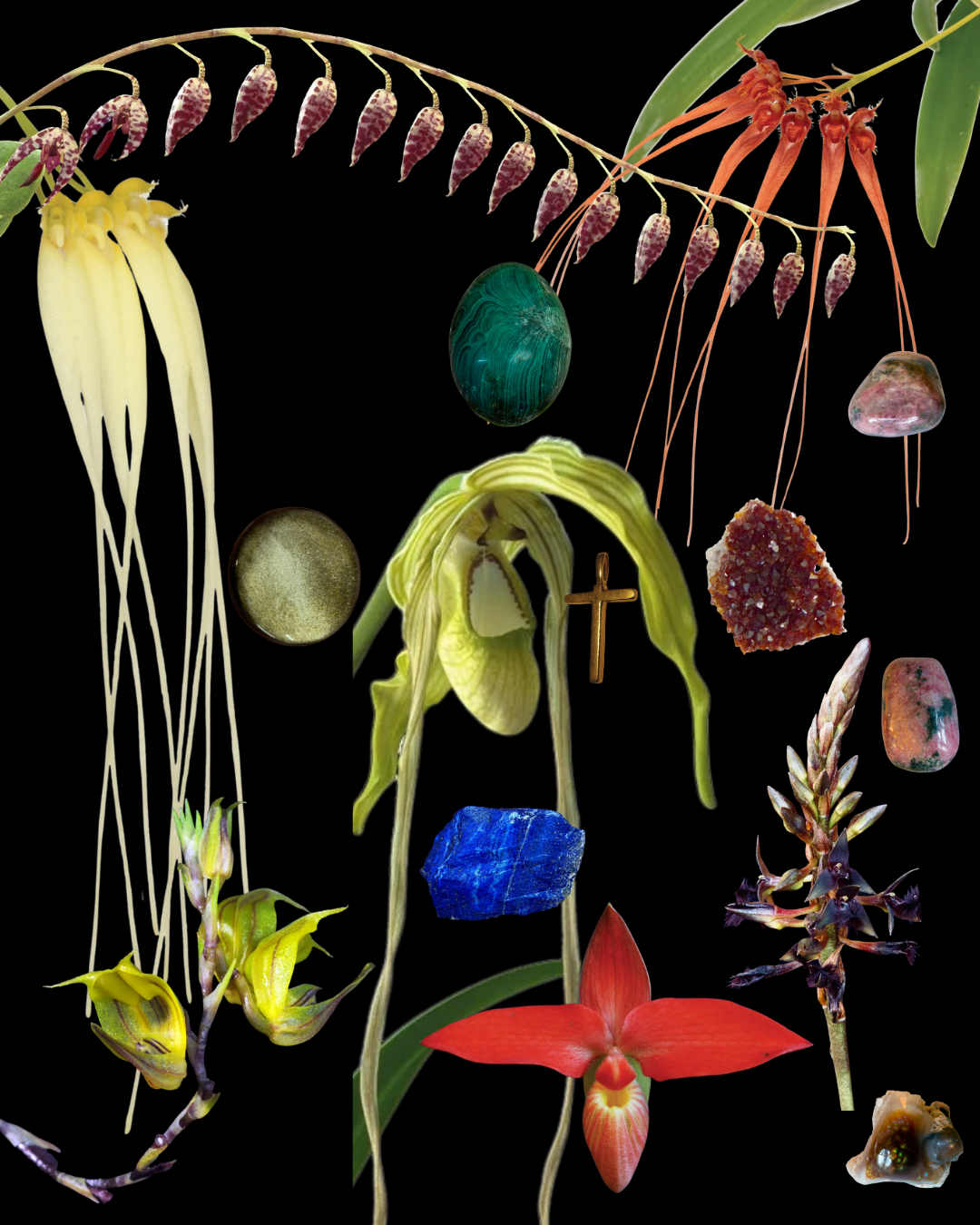 Fruits of Supreme Joy Combination Essence