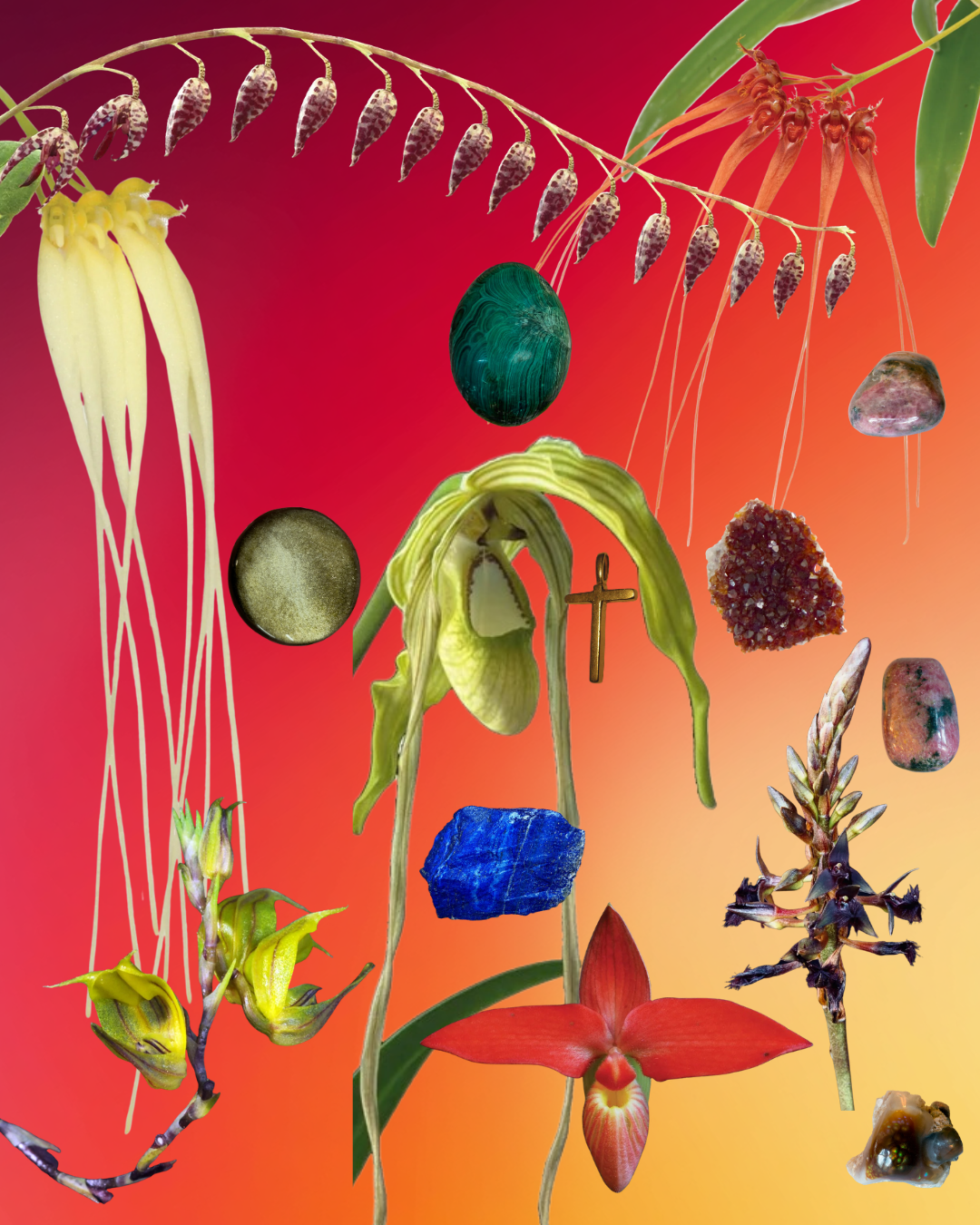 Fruits of Supreme Joy Combination Essence