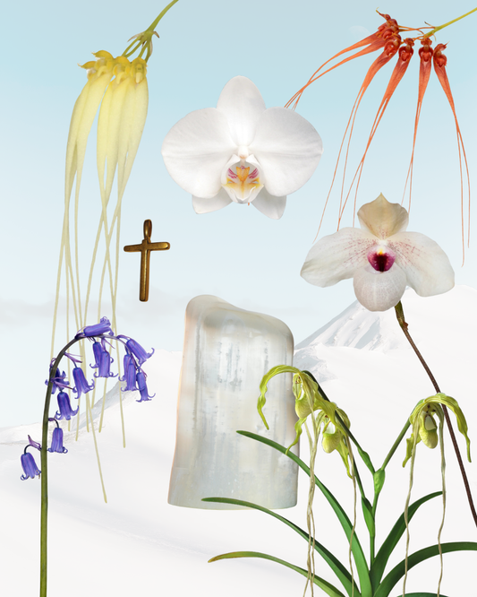 Full Moon Light Combination Essence