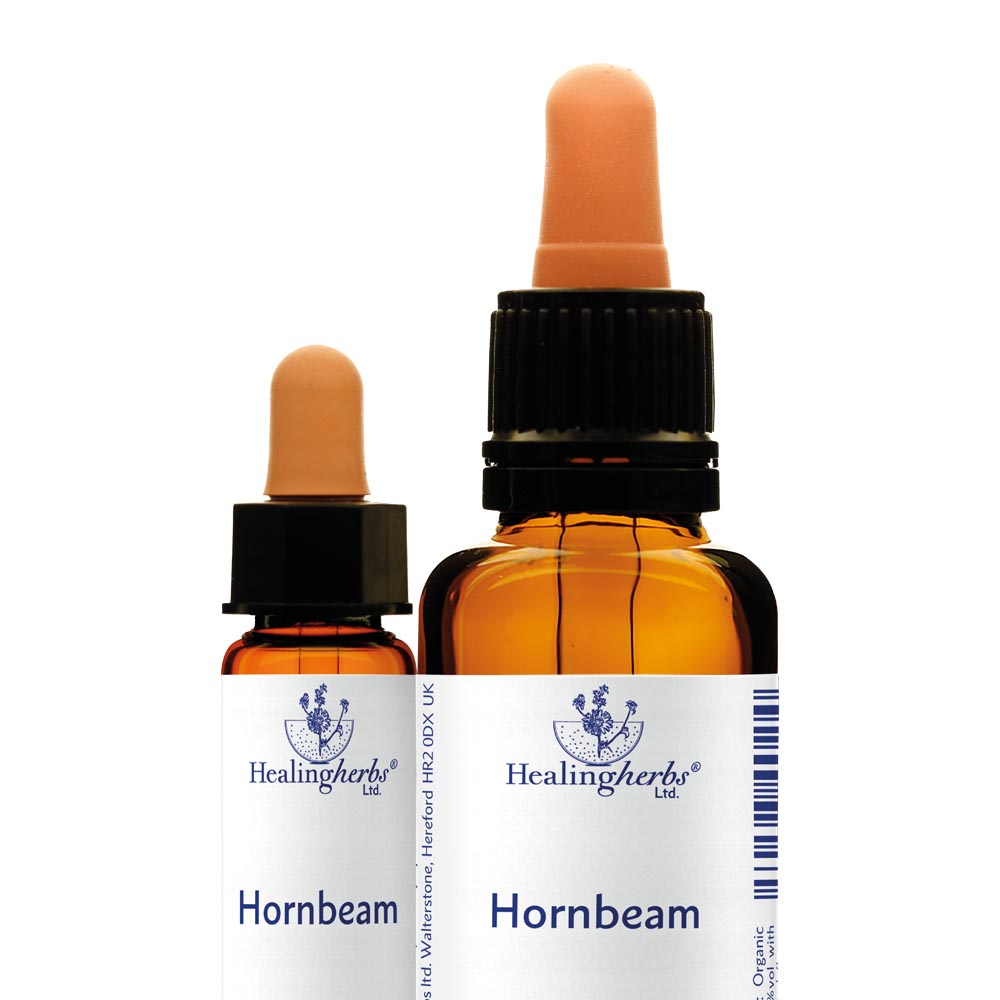 Healing Herbs - Hornbeam
