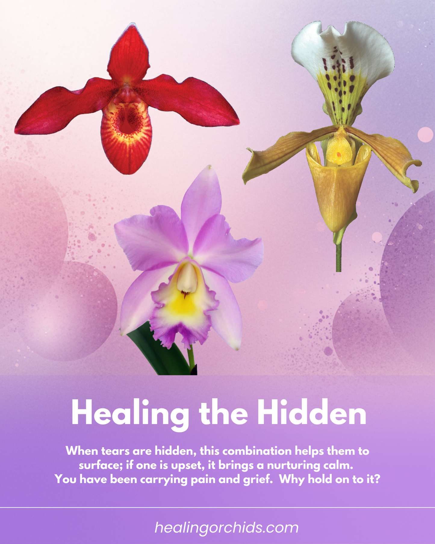 Healing the Hidden (Heyoka) Combination Essence