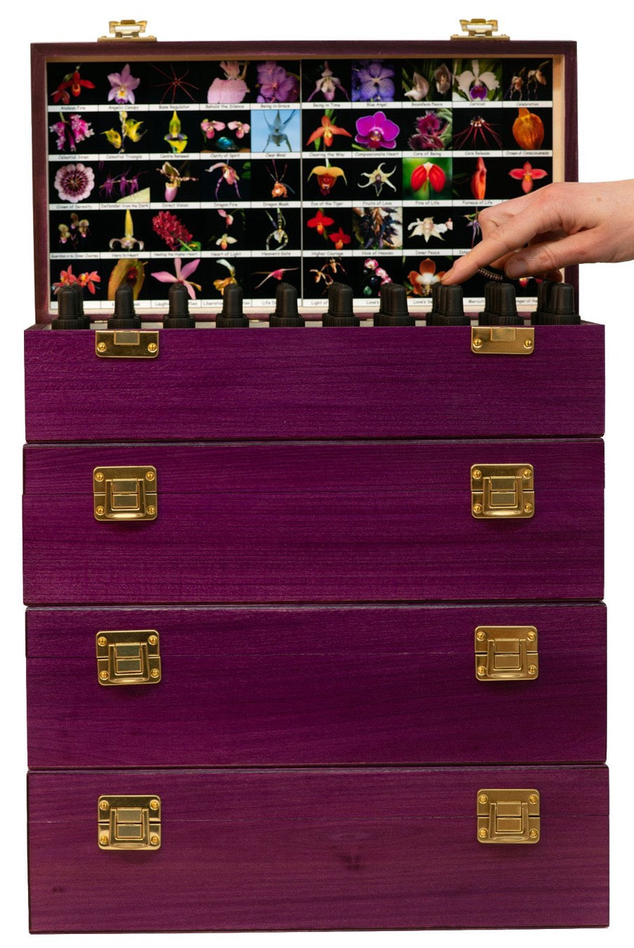 LTOE full set of 183