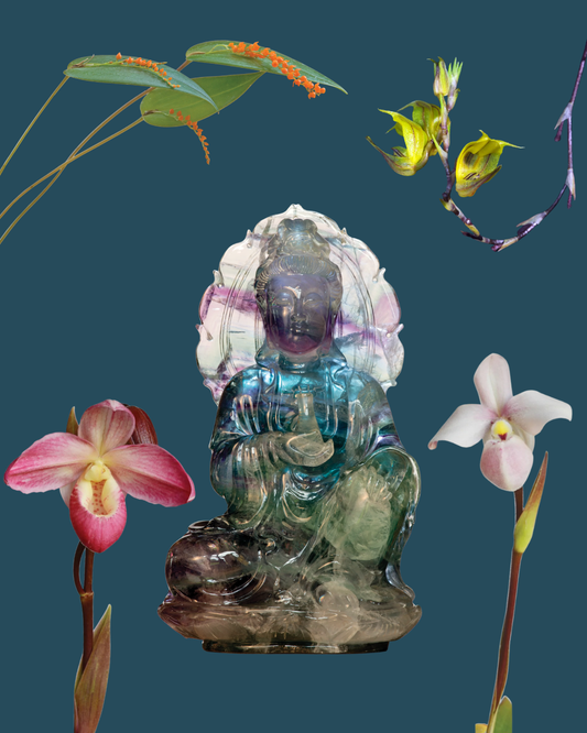 Light of the Soul Combination Essence