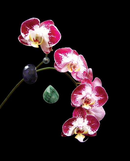 Love's Gift Essence