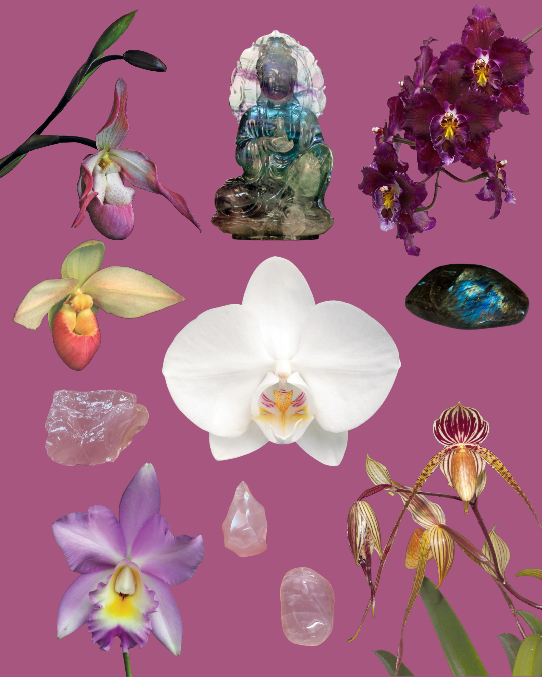 Orchid Woman Combination Essence