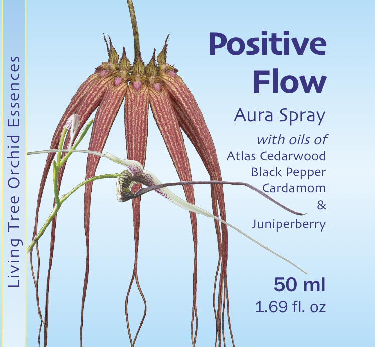 Positive Flow Aura Spray