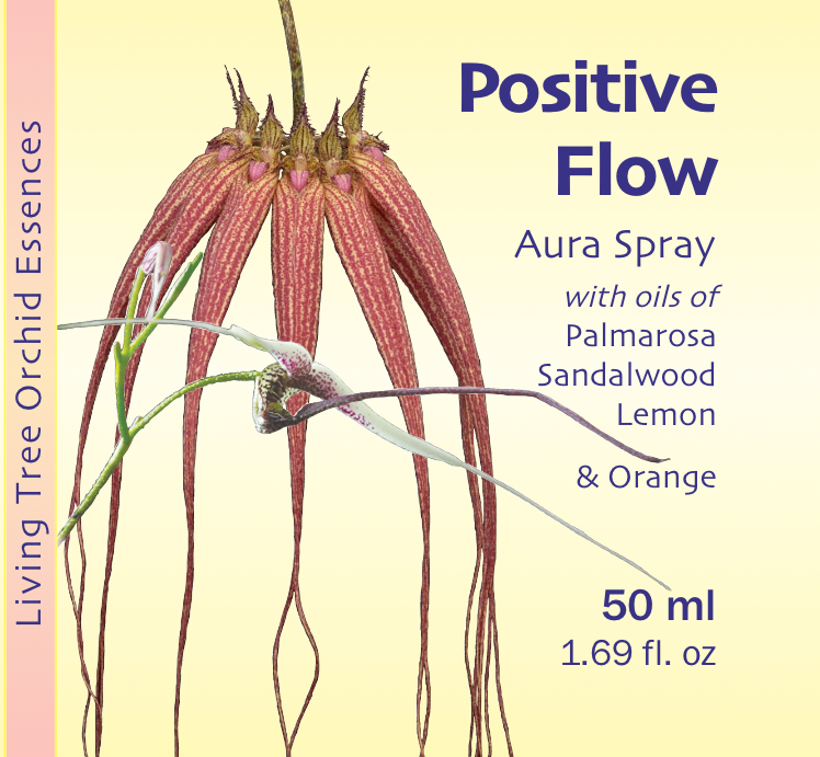 Positive Flow Aura Spray