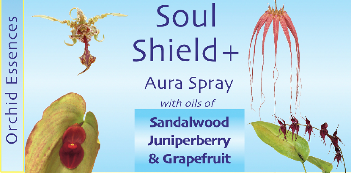 Soul Shield Aura Spray