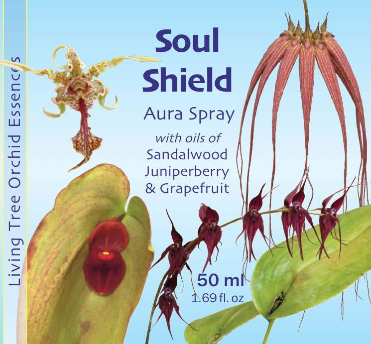 Soul Shield Aura Spray