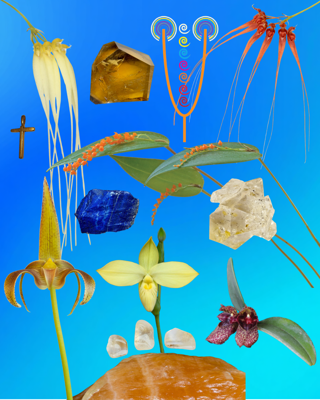 Seeds of Fortune Combination Essence