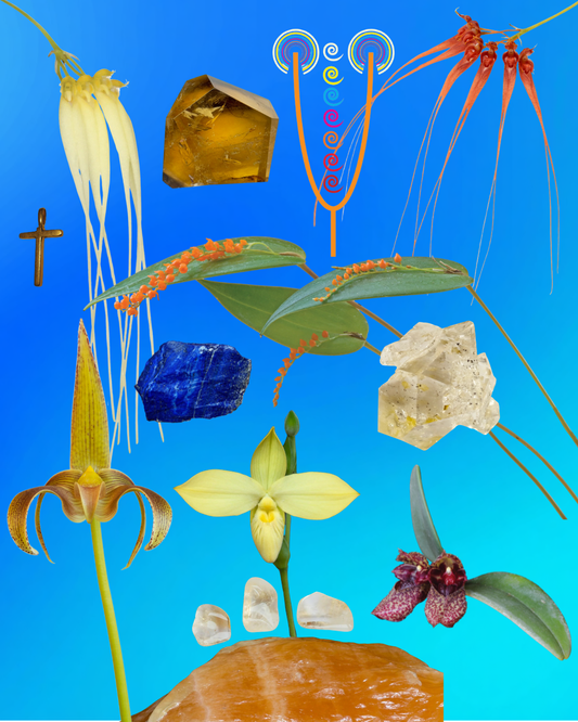 Seeds of Fortune Combination Essence
