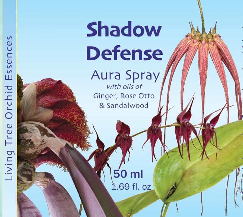 Shadow Defense Aura Spray