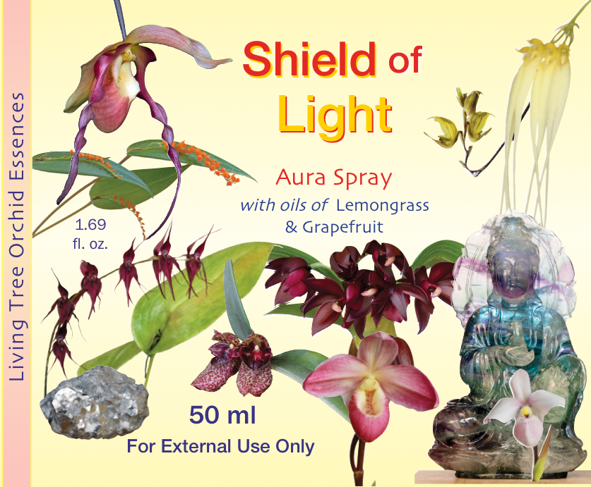 Shield of Light Aura Spray