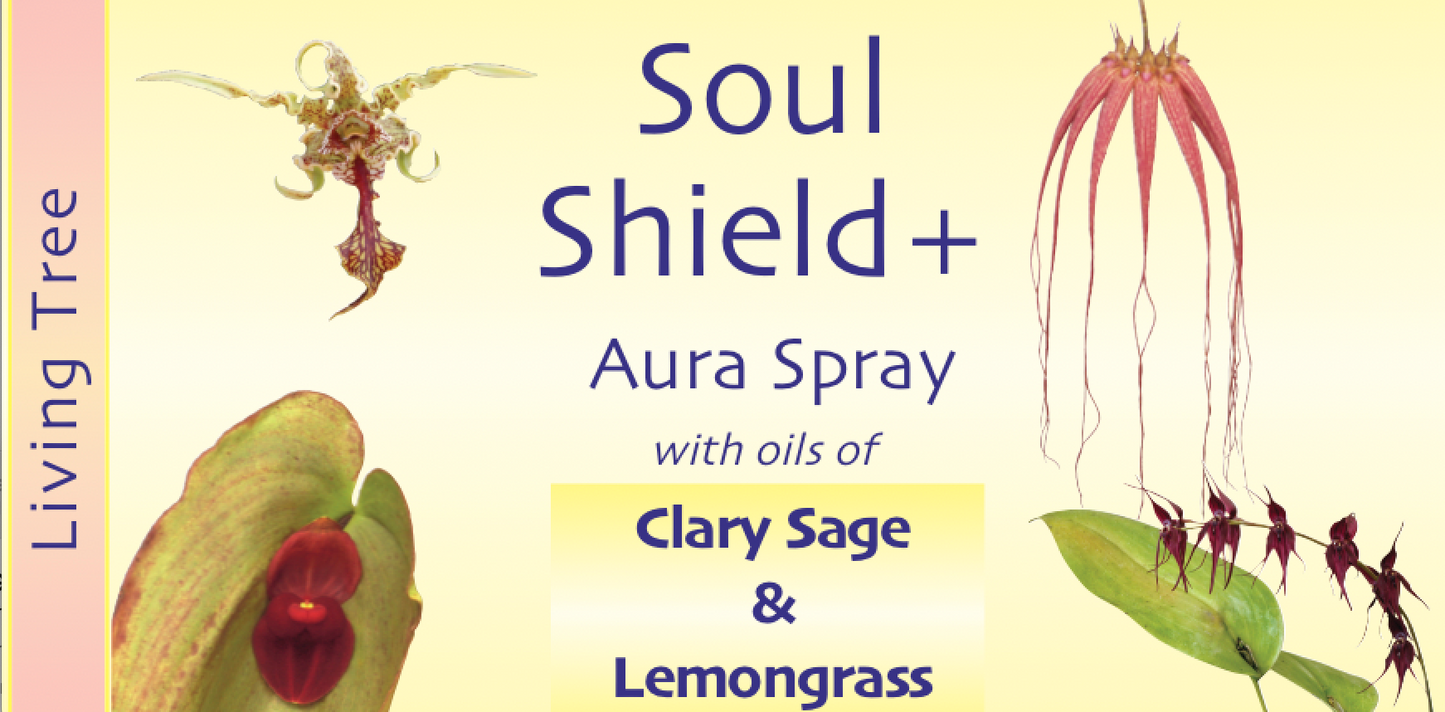 Soul Shield Aura Spray