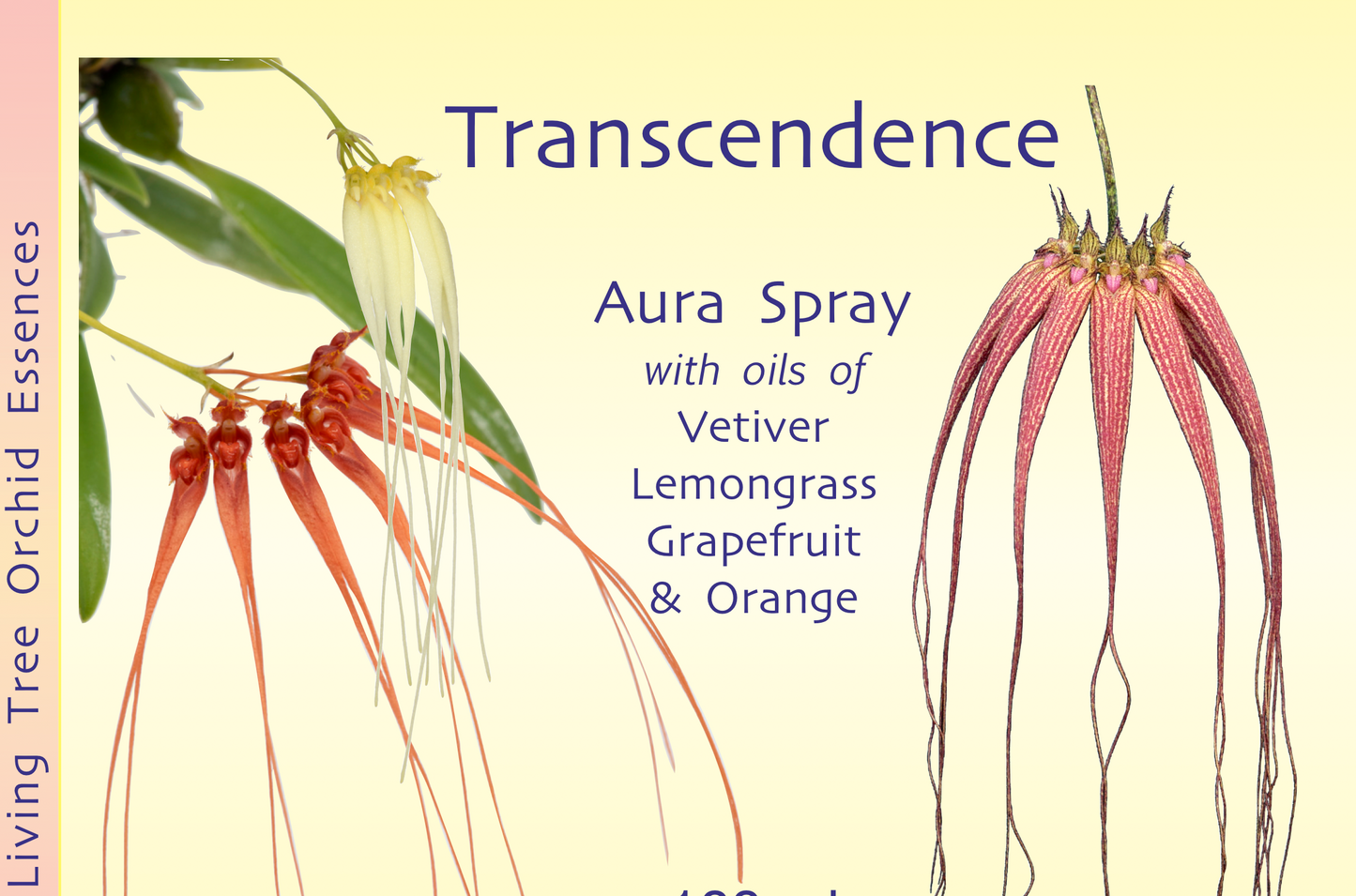 Transcendence Aura Spray