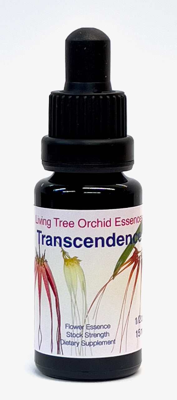 Transcendence Combination Essence