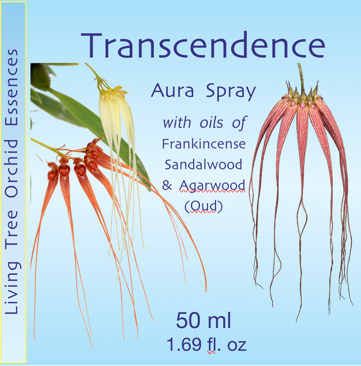 Transcendence Aura Spray
