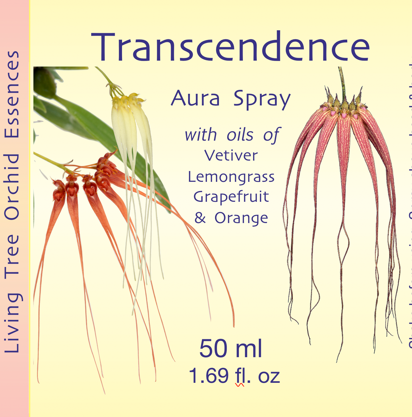 Transcendence Aura Spray
