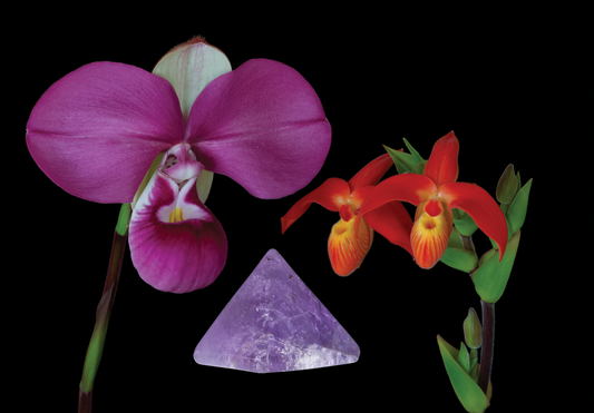 Vital Clarity Essence