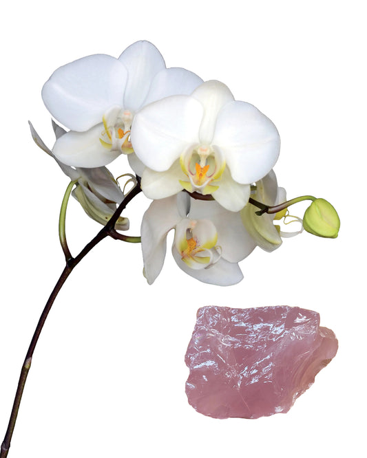 White Beauty Essence