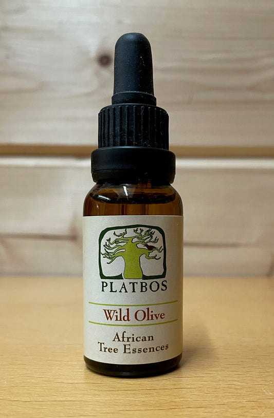 Platbos Essences - Wild Olive
